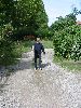 Cliquez ici pour voir l'image (loup2.jpg)