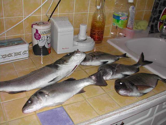 peche