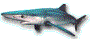peau bleue
